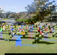 Hello Koalas Sculpture Trail - C Tourism