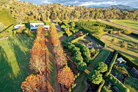 High Country Maze - C Tourism 1