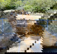 John Oxley Monument - C Tourism