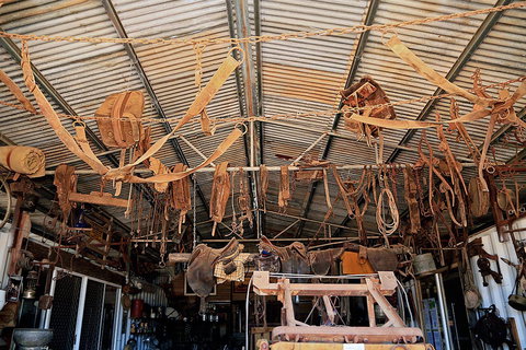 Just Rustic - C Tourism 2