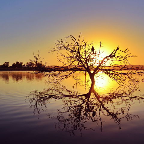 Lake Dyer - C Tourism 0