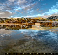 Lashmar Conservation Park - C Tourism