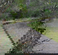 Leschenault Peninsula Conservation Park - C Tourism