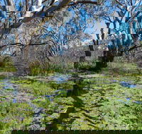 Macquarie Valley Trails - C Tourism