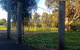 Mansfield Botanic Park - thumb 0