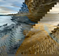 Maria Island - C Tourism