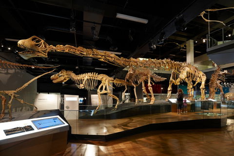Melbourne Museum - C Tourism 1