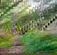 Meroo Lake walking track - C Tourism