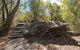 Mooney Mooney Nature Walk - thumb 0