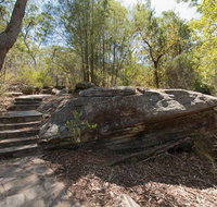 Mooney Mooney nature walk - C Tourism