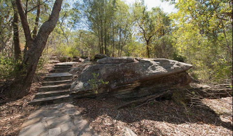 Mooney Mooney Nature Walk - C Tourism 0