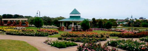 Mornington Botanical Rose Gardens - C Tourism 0