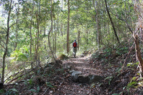 Morelia Walking Track, D'Aguilar National Park - C Tourism 1