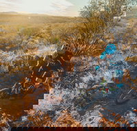 Mountain Biking in Alice Springs - C Tourism