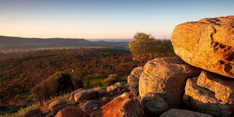 Mount Brown Lookout - C Tourism 0