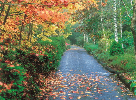 Mount Wilson And Mount Irvine - C Tourism 0