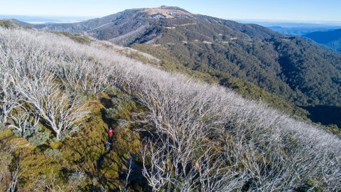 Mt Buller Bike Park - C Tourism 0