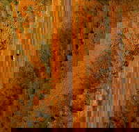 Newcastle Waters - C Tourism