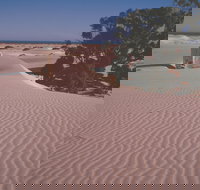 Nullarbor Plain - C Tourism