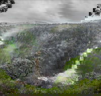 Oxley Wild Rivers National Park - C Tourism