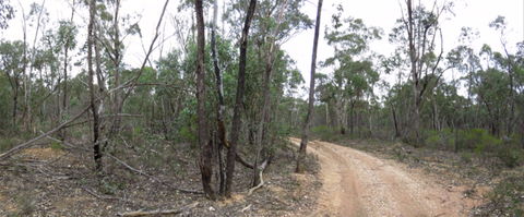 Paddys Ranges State Park - C Tourism 0
