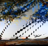 Palm Cove - C Tourism