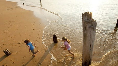 Phillip Island - C Tourism 0