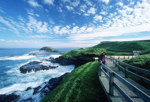 Phillip Island - C Tourism 1
