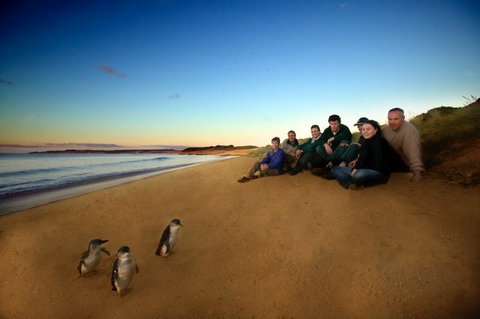 Phillip Island - C Tourism 2