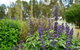 Picton Botanic Gardens - thumb 1