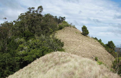 Pieries Peak Walking Track - C Tourism 0