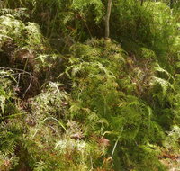 Powder Magazine walking track - C Tourism