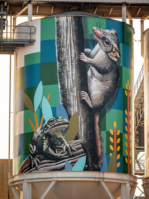 PUBLIC Silo Trail: Newdegate - C Tourism 2
