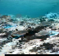 Purdy Point - C Tourism