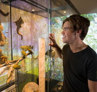 Queensland Museum - C Tourism