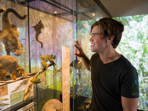 Queensland Museum - C Tourism 0