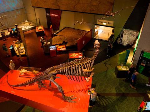 Queensland Museum - C Tourism 2