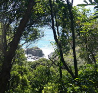 Rainforest Walking Track Hat Head National Park - C Tourism