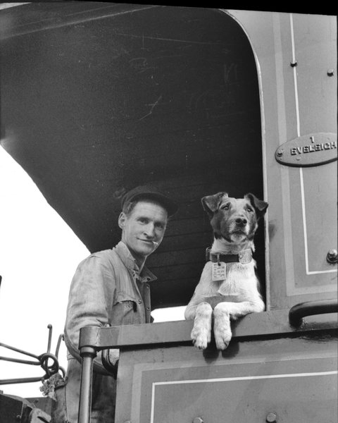 Railway Temora - C Tourism 0