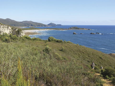 Rocky Cape National Park - C Tourism 1