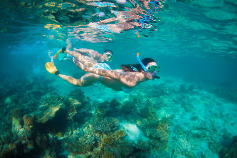 Snorkel The Ningaloo Reef - C Tourism 1