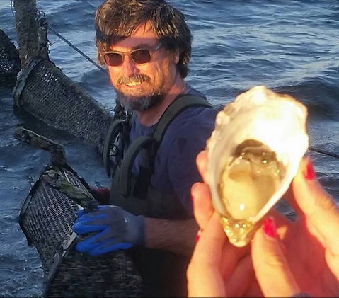 Southern Yorke Oysters - C Tourism 0