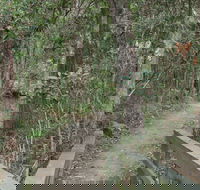 Springwood Conservation Park - C Tourism