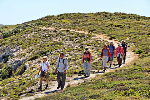 The Sole Walk At Hillocks Drive - C Tourism 0