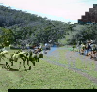 Timbertops - Horse Riding - C Tourism