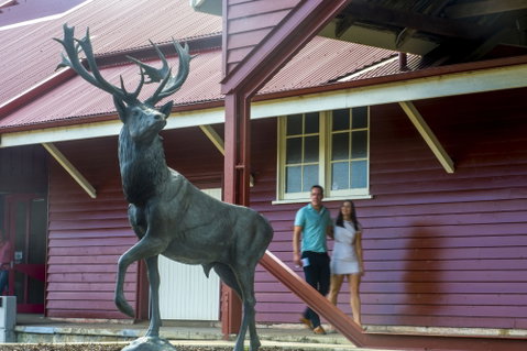 Toogoolawah - C Tourism 1