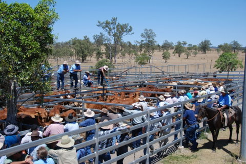 Toogoolawah - C Tourism 2