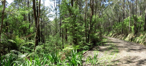 Tyers Park - C Tourism 0