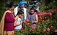 Victoria State Rose Garden At Werribee Park - thumb 0