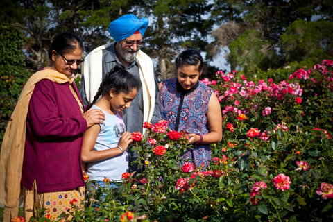 Victoria State Rose Garden At Werribee Park - C Tourism 0